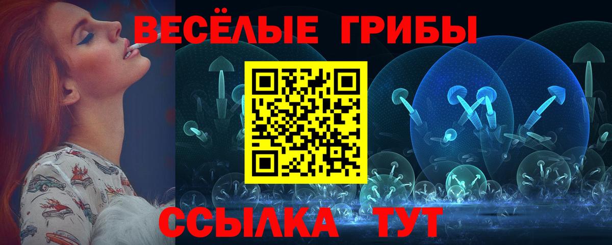 Саяногорск  Псилоцибиновые грибы мухоморы  Вход с VPN 